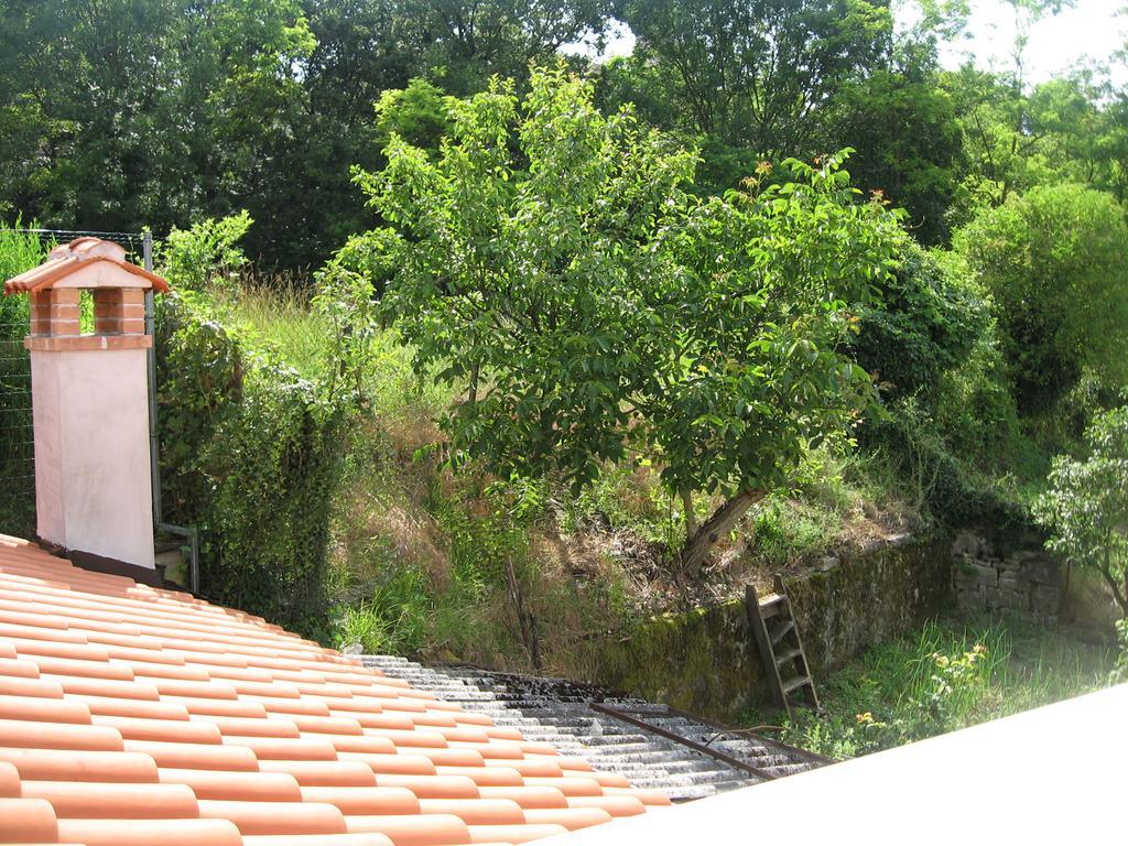 Apartments Alen Pazin Kültér fotó