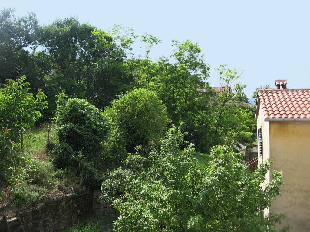 Apartments Alen Pazin Kültér fotó